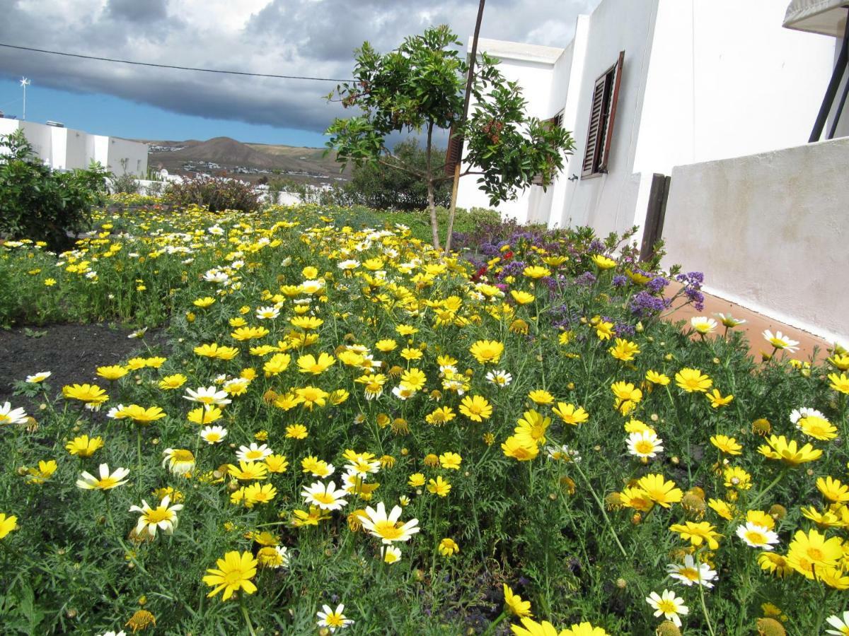 Casa Montana De Tahiche Βίλα Εξωτερικό φωτογραφία